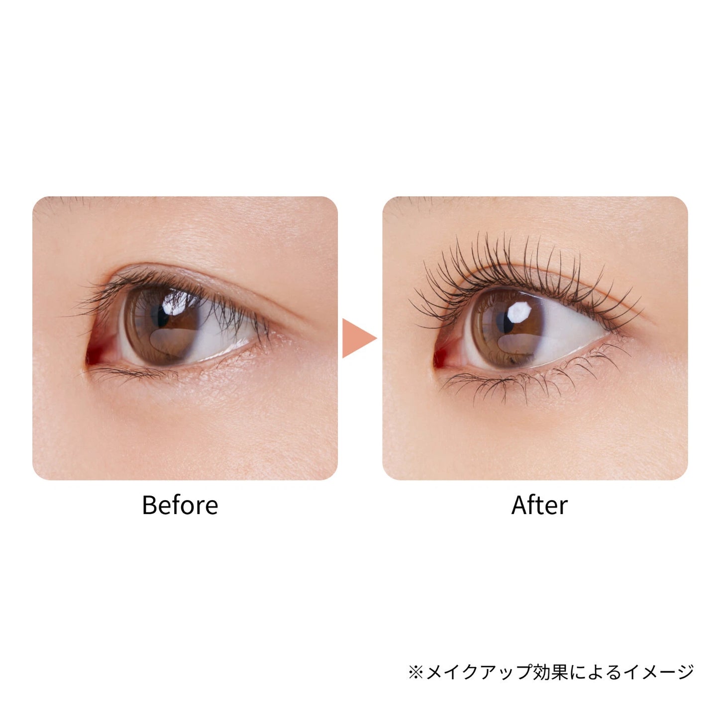 ettusais Eye Edition Mascara Base Rich | Japanese Mascara Primer | Volume & Curl | Sheer Black | Made in Japan
